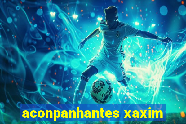 aconpanhantes xaxim